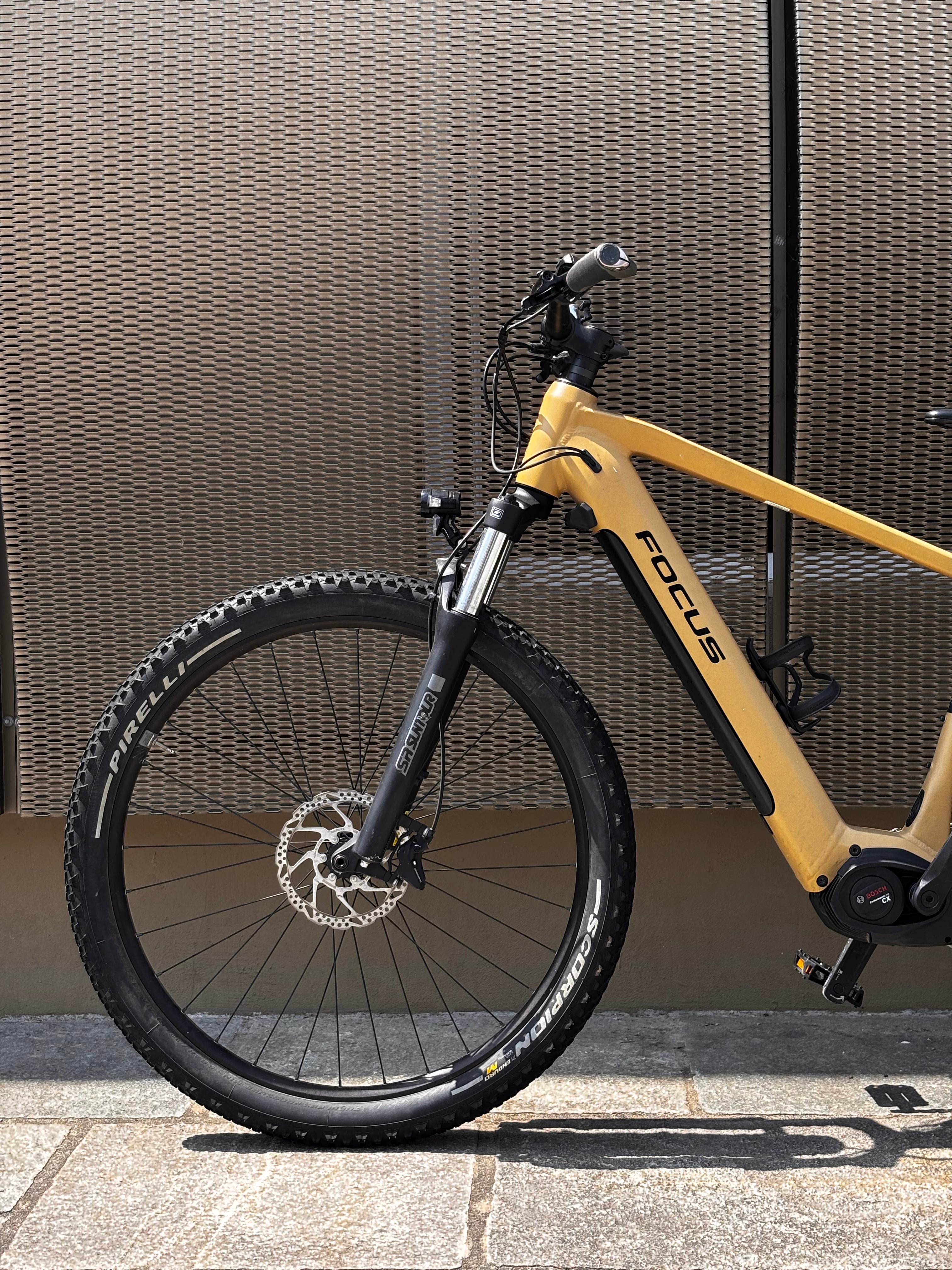Focus Jarifa² EQ Giallo