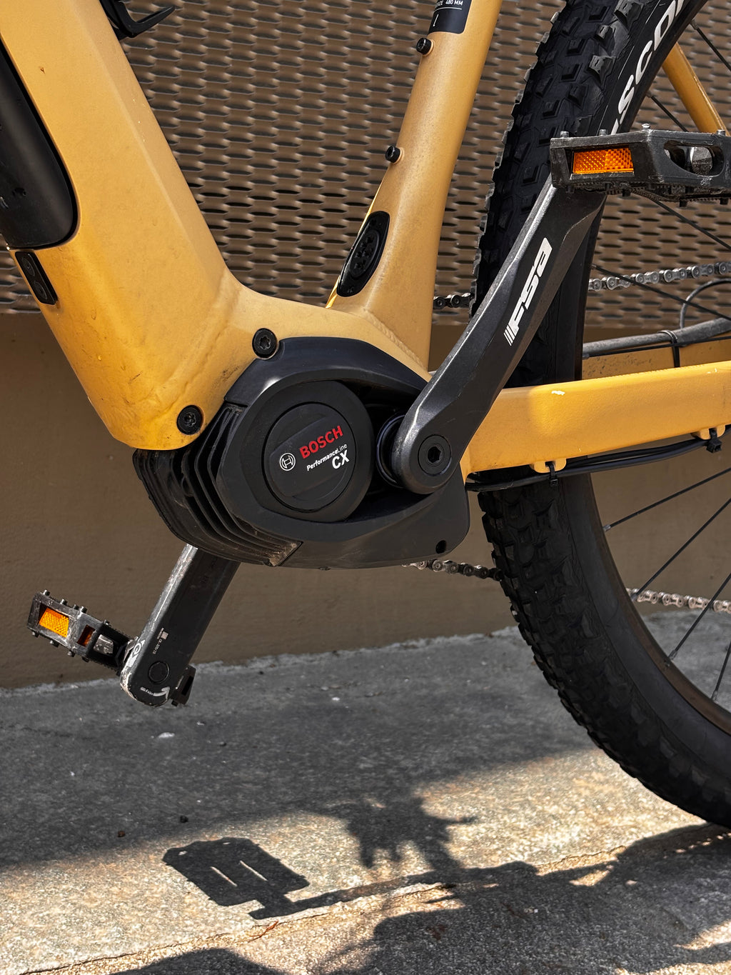 Focus Jarifa² EQ Giallo