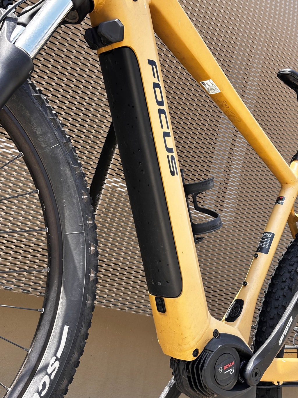 Focus Jarifa² EQ Giallo