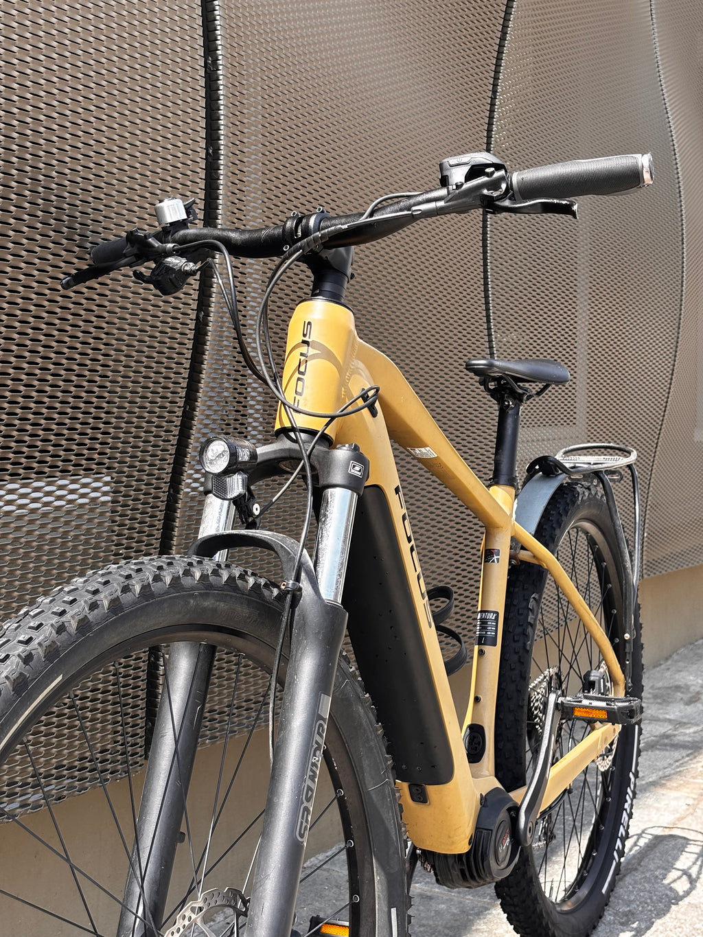 Focus Jarifa² EQ Giallo