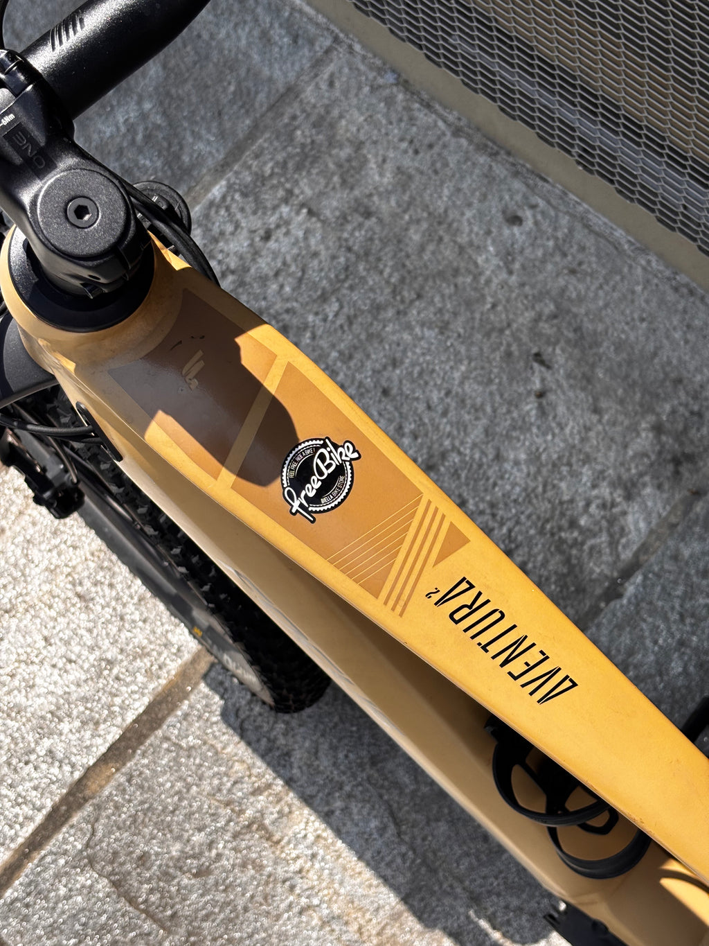 Focus Jarifa² EQ Giallo