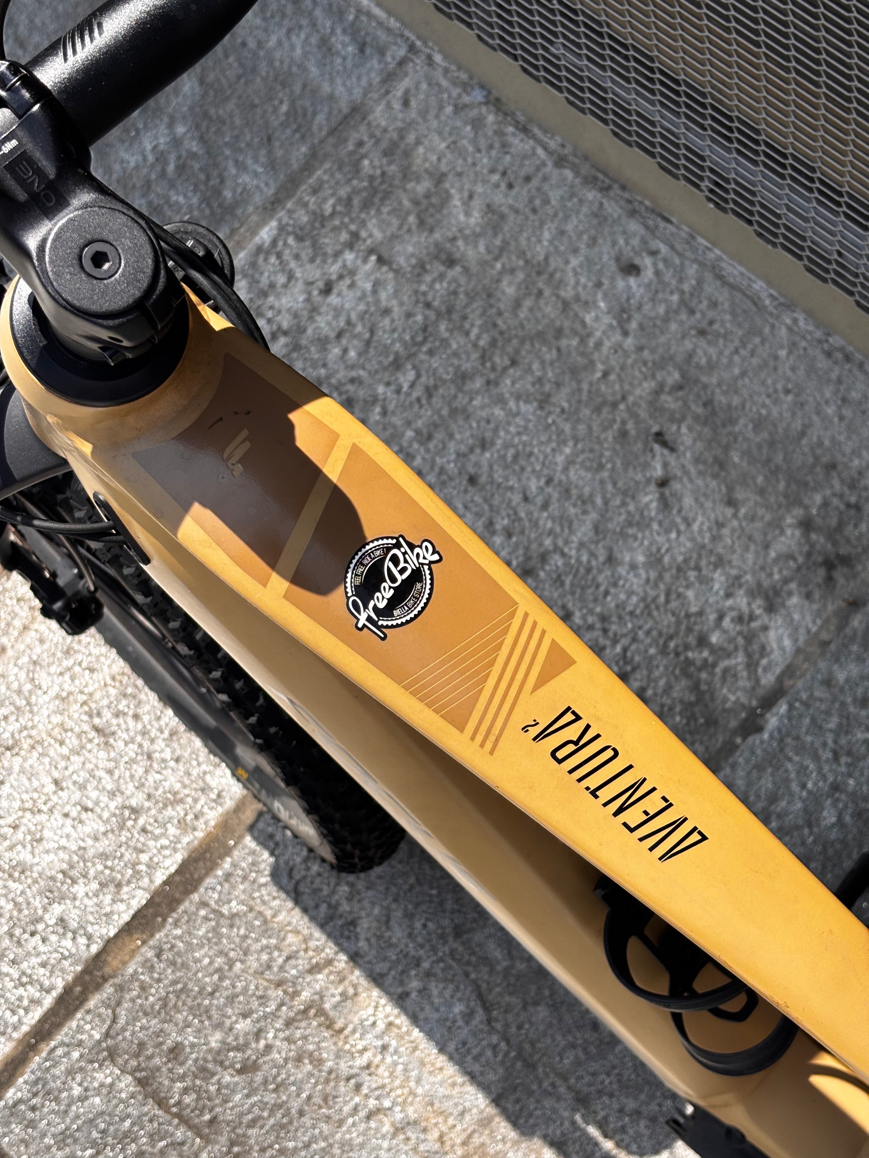 Focus Jarifa² EQ Giallo