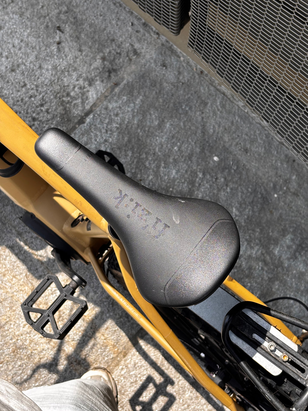 Focus Jarifa² EQ Giallo