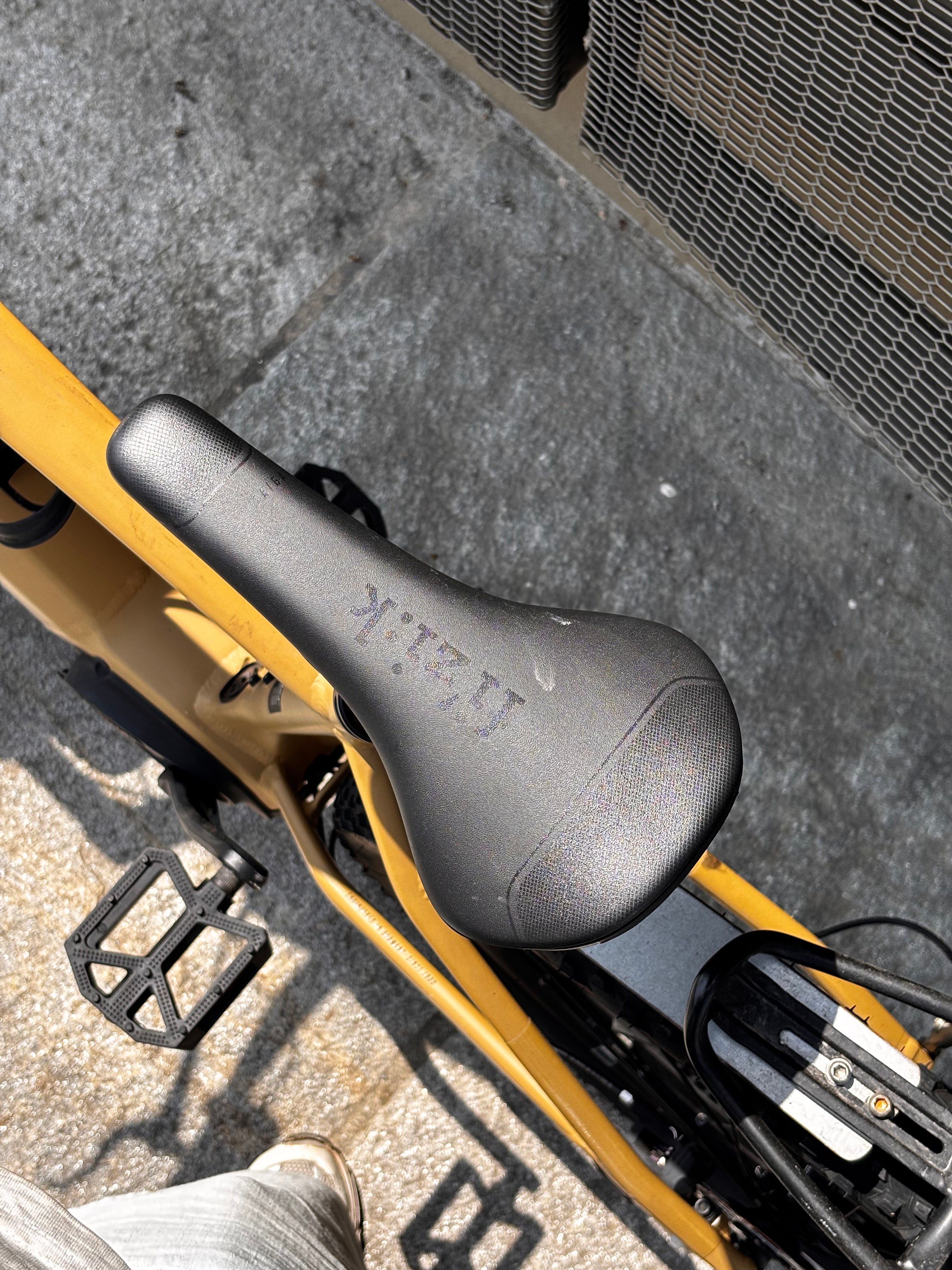 Focus Jarifa² EQ Giallo